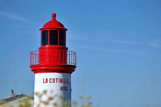 Le port de la Cotinière, sa criée, ses bateaux, les marins, la pêche 🐟🦐